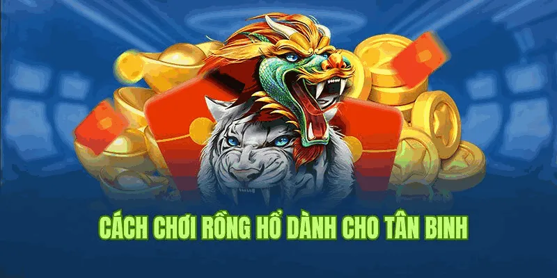 Bài rồng hổ